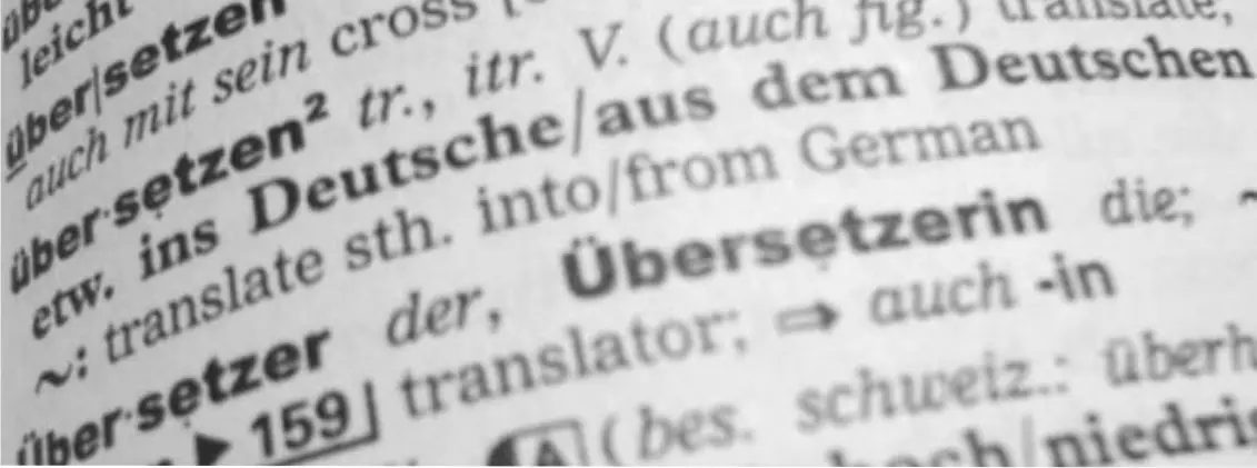 Over 20 years expertise in German/English language services